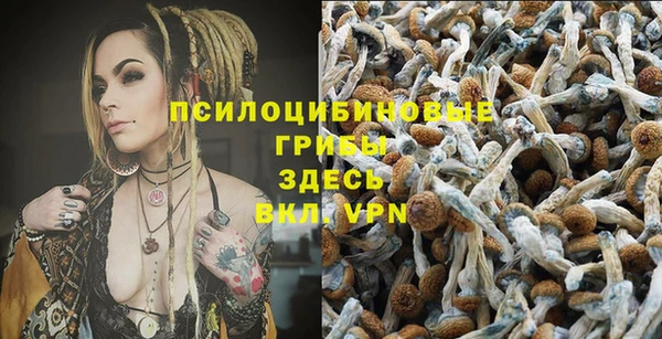 каннабис Алексин